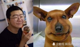 男子爆料羊角蜜蜂视频,视频走红网络